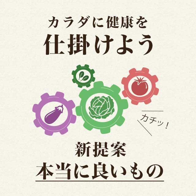 やさい酵素 （約12ヶ月分） 賞味期限2025年3月末まで アマニオイル えごま油 サプリメント ダイエット サプリ 酵素 野菜 不足 難消化性デキストリン リノレン酸｜oga｜08