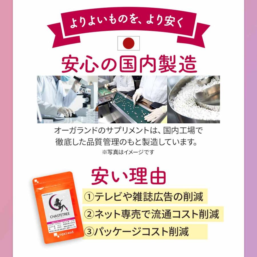 チェストツリー （約12ヶ月分）賞味期限最短2025年3月末まで サプリ ビタミン B12 B1 サプリメント 女性のミカタ 20mg配合 ハーブ 亜鉛 カルシウム マグネシウム｜oga｜13