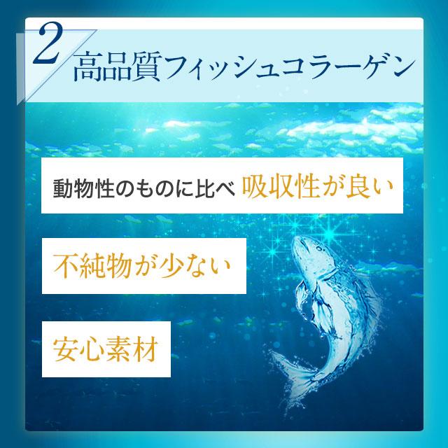 W低分子ヒアルロン酸 & コラーゲン （約12ヶ月分） 低分子 フィッシュ コラーゲン ヒアルロン酸 サプリ サプリメント｜oga｜15