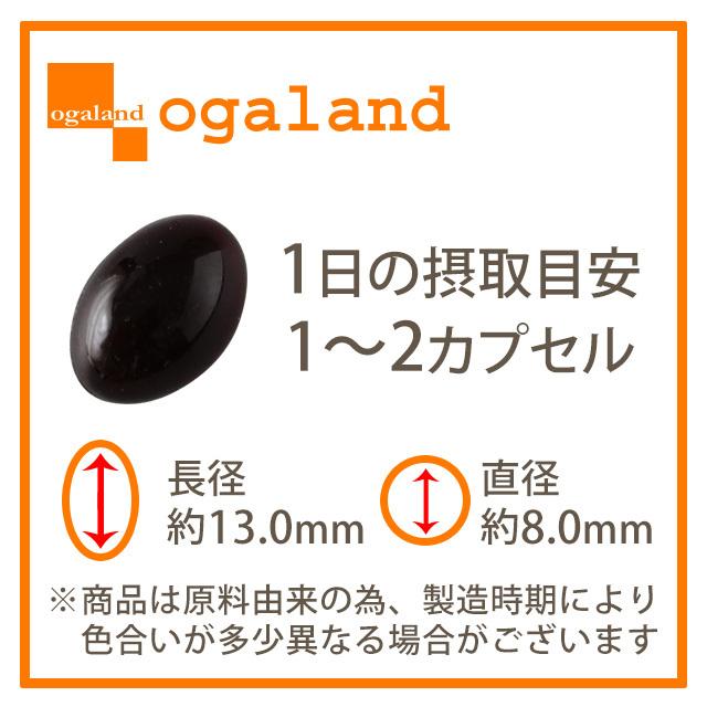 黒にんにく卵黄 （約12ヶ月分） 国産 卵黄 サプリメント サプリ 発酵 青森県産 ブランド ニンニク 元気 スタミナ 送料無料｜oga｜11