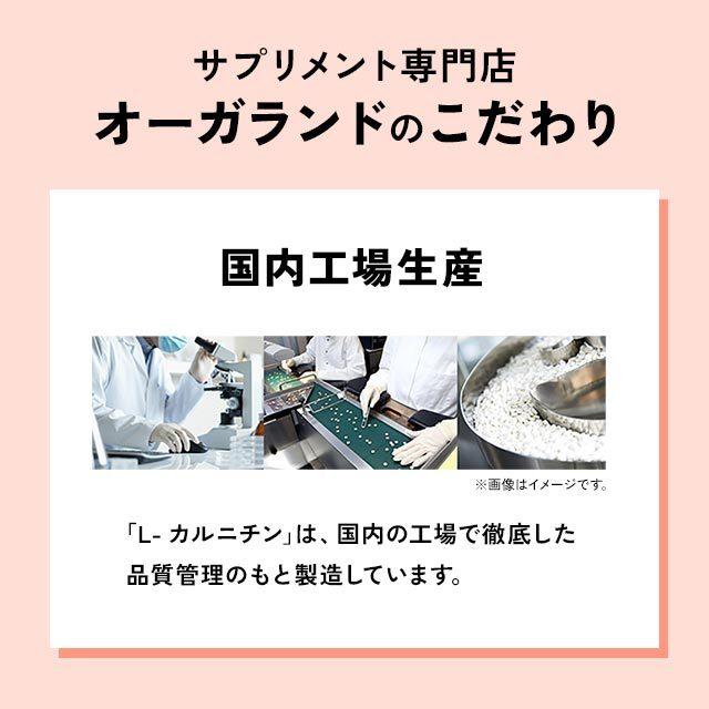 L-カルニチン （約12ヶ月分） サプリ 燃焼系 ダイエット アミノ酸 運動 サプリメント スポーツ トレーニング 生活習慣 健康｜oga｜18