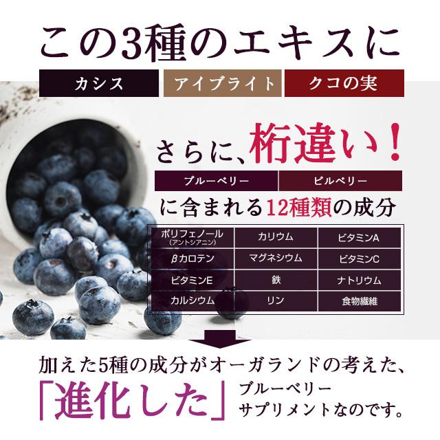 ブルーベリー (約12ヶ月分) アントシアニン ポリフェノール サプリ カシス ビタミンB サプリメント ビルベリー ミネラル :500nb1:オーガランド Yahoo!店 - 通販 - Yahoo!ショッピング ブルーベリー (約12ヶ月分) アントシアニン ポリフェノール サプリ カシス ビタミンB サプリメント ビルベリー ミネラル :500nb1:オーガランド Yahoo!店 - 通販 - Yahoo!ショッピング