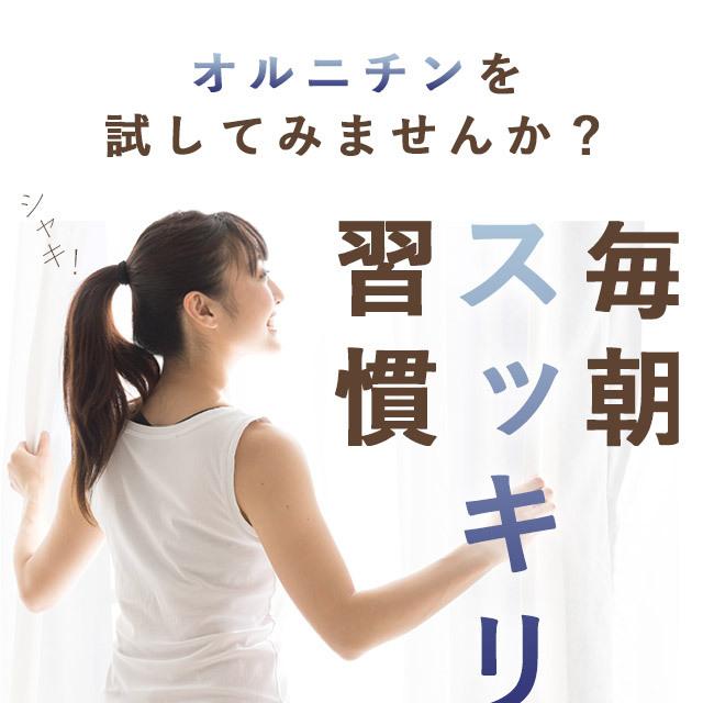 L-オルニチン （約12ヶ月分） 生活習慣 健康 お酒 のお供に サプリメント サプリ ダイエット 多機能 アミノ酸 アルギニン リジン ポイント利用 | ogaland | 04