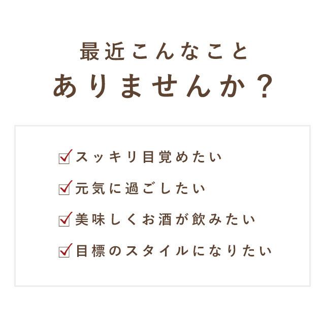 L-オルニチン （約12ヶ月分） 生活習慣 健康 お酒 のお供に サプリメント サプリ ダイエット 多機能 アミノ酸 アルギニン リジン ポイント利用 | ogaland | 05