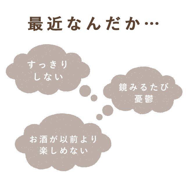 L-オルニチン （約12ヶ月分） 生活習慣 健康 お酒 のお供に サプリメント サプリ ダイエット 多機能 アミノ酸 アルギニン リジン ポイント利用 | ogaland | 09
