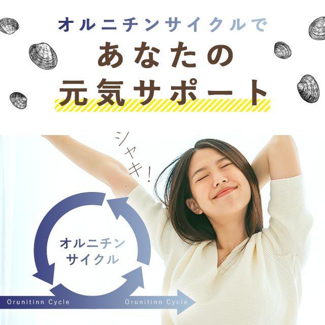 L-オルニチン （約12ヶ月分） 生活習慣 健康 お酒 のお供に サプリメント サプリ ダイエット 多機能 アミノ酸 アルギニン リジン ポイント利用 | ogaland | 10