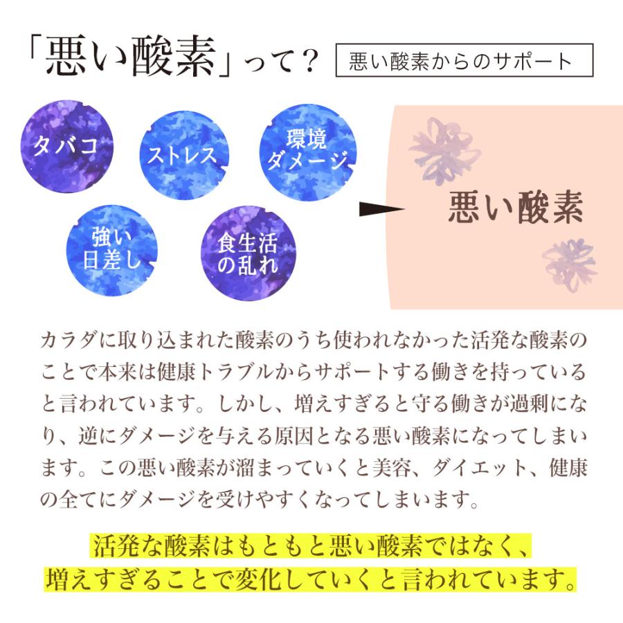 ルテイン （約12ヶ月分） ビタミンA メグスリノキ サプリ サプリメント 亜鉛 酵母 ヘマトコッカス アスタキサンチン デジタル 社会｜oga｜14