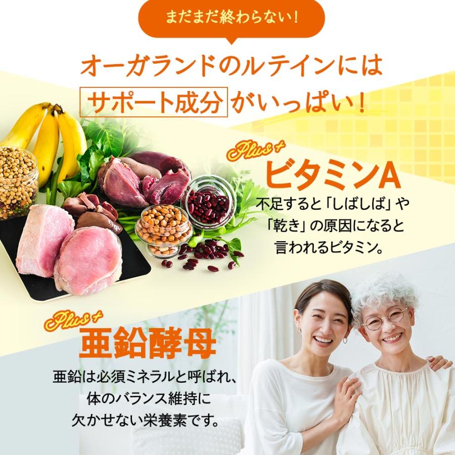 ルテイン（約12ヶ月分）サプリメント ビタミンA メグスリノキ サプリ サプリメント 亜鉛 酵母 ヘマトコッカス アスタキサンチン デジタル社会 ポイント利用 | ogaland | 15