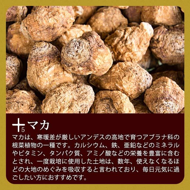 酒皇 （約12ヶ月分） しゅおう ウコン クルクミン サプリ サプリメント 牡蠣 亜鉛 マカ 田七人参 イチョウ葉 お酒 のお供に ガジュツ　1年分