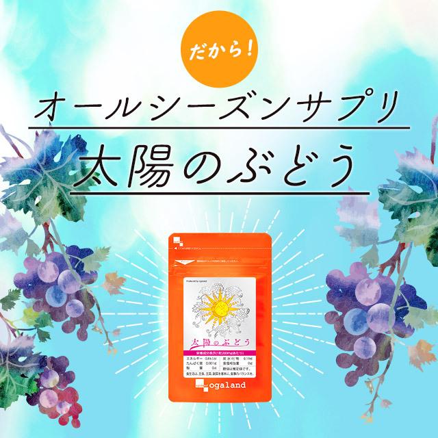 太陽のぶどう （約12ヶ月分） サプリ 美容 エイジングケア サプリメント ブドウ 種子 エキス ゴールデンベリー プロアントシアニジン 外出 アウトドア に｜oga｜09