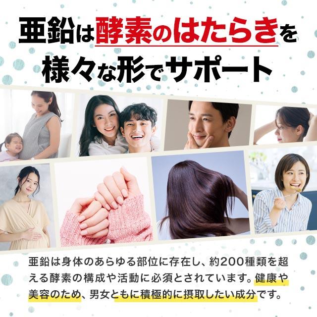 亜鉛（約12ヶ月分）サプリメント 必須ミネラル サプリ 約1年分 栄養機能食品 銅 元気 送料無料 ミネラル 必須栄養素 オーガランド おすすめ 健康 ポイント利用 | ogaland | 14