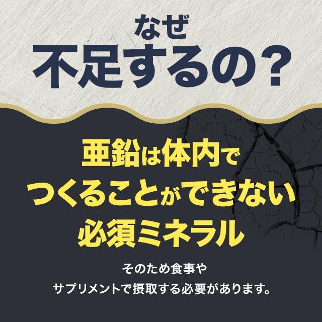 亜鉛（約12ヶ月分）サプリメント 必須ミネラル サプリ 約1年分 栄養機能食品 銅 元気 送料無料 ミネラル 必須栄養素 オーガランド おすすめ 健康 ポイント利用 | ogaland | 05