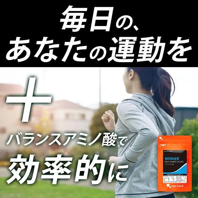 バランスアミノ酸 （約1ヶ月分） 賞味期限最短2024年12月末まで BCAA サプリ サプリメント WINNER 12種類のアミノ酸 EAA L-アルギニン  ロイシン バリン｜oga｜15