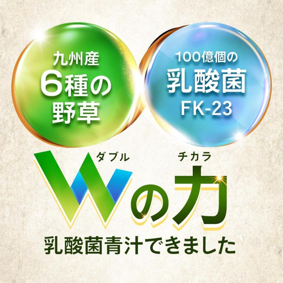 ogaland（オーガランド） 乳酸菌九州青汁（30包） 青汁 乳酸菌 国産 個