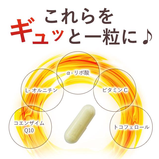 ogaland（オーガランド） ダイエット サプリ α-リポ酸 （約1ヶ月分