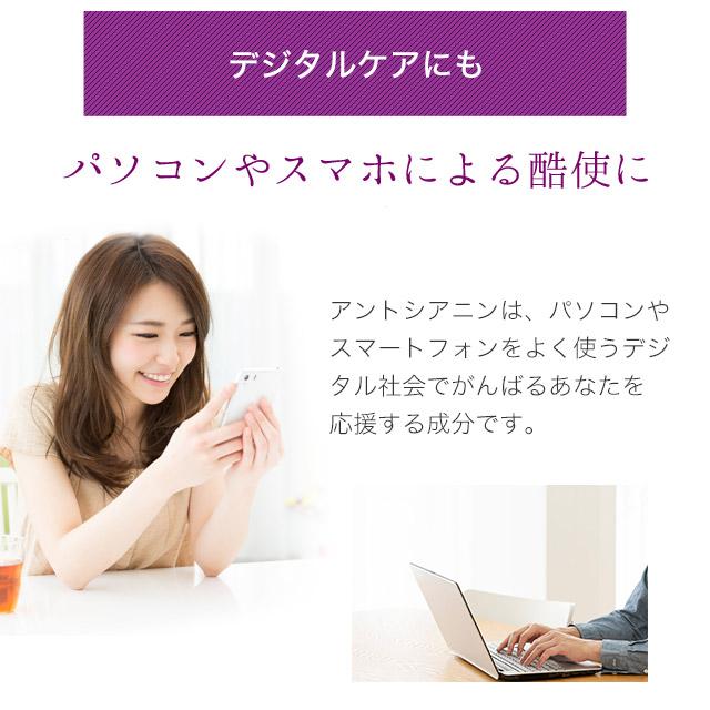 アサイーカプセル （約3ヶ月分） ポリフェノール ファイトケミカル サプリ サプリメント 鉄 アントシアニン アミノ酸 若々しさのサポートに ポイント利用 | ogaland | 10