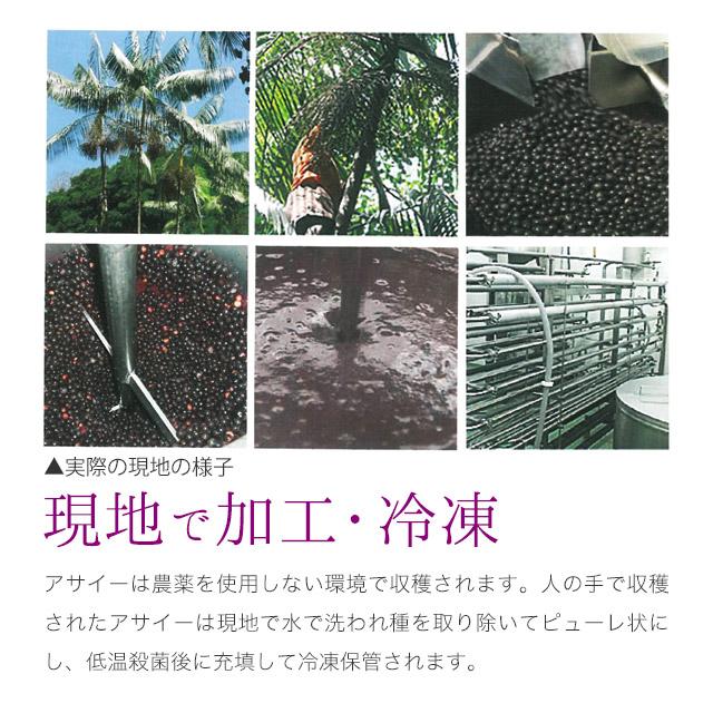 アサイーカプセル （約3ヶ月分） ポリフェノール ファイトケミカル サプリ サプリメント 鉄 アントシアニン アミノ酸 若々しさのサポートに ポイント利用 | ogaland | 14