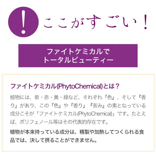 アサイーカプセル （約3ヶ月分） ポリフェノール ファイトケミカル サプリ サプリメント 鉄 アントシアニン アミノ酸 若々しさのサポートに ポイント利用 | ogaland | 07