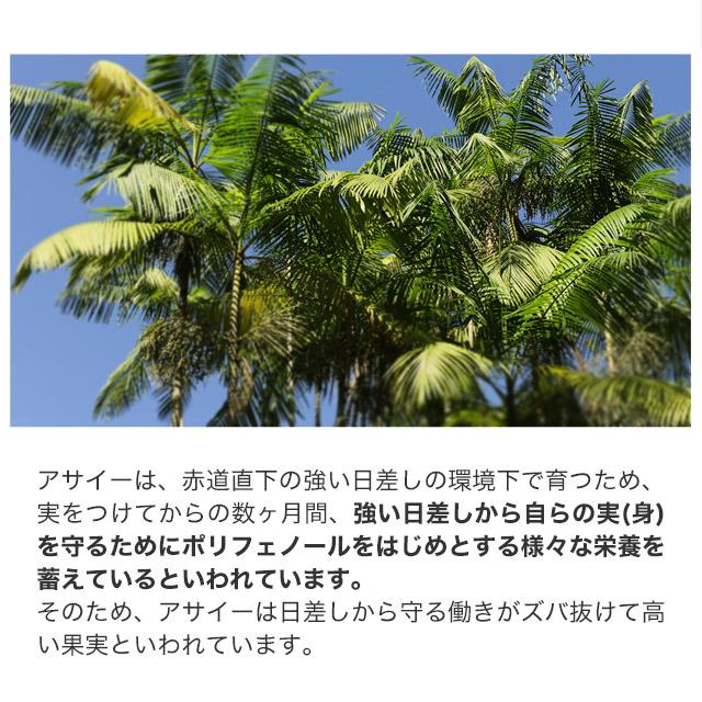 アサイーカプセル （約3ヶ月分） ポリフェノール ファイトケミカル サプリ サプリメント 鉄 アントシアニン アミノ酸 若々しさのサポートに ポイント利用 | ogaland | 09