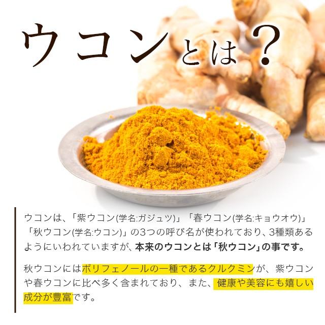 秋ウコン粒 （約3ヶ月分） サプリメント うこん クルクミン  ポリフェノール クルクメン ターメリック ポイント利用 | ogaland | 05