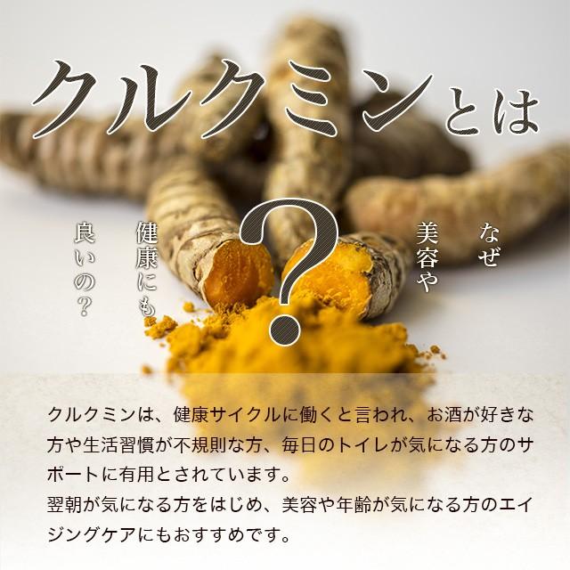 秋ウコン粒 （約3ヶ月分） サプリメント うこん クルクミン  ポリフェノール クルクメン ターメリック ポイント利用 | ogaland | 06