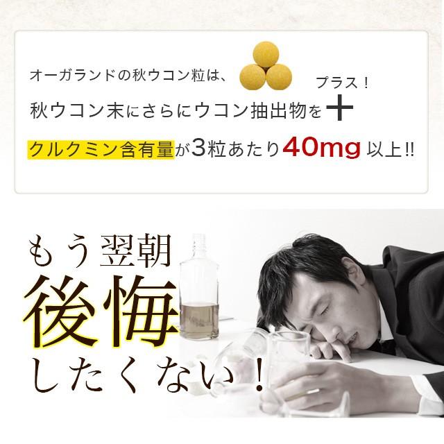秋ウコン粒 （約3ヶ月分） サプリメント うこん クルクミン  ポリフェノール クルクメン ターメリック ポイント利用 | ogaland | 07