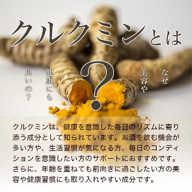 秋ウコン粒 （約3ヶ月分） サプリメント うこん クルクミン  ポリフェノール クルクメン ターメリック ポイント利用 | ogaland | 06