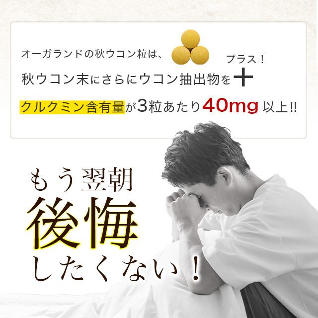 秋ウコン粒 （約3ヶ月分） サプリメント うこん クルクミン  ポリフェノール クルクメン ターメリック ポイント利用 | ogaland | 07