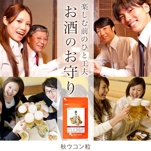 秋ウコン粒 （約3ヶ月分） ウコン サプリ サプリメント うこん クルクミン  ポリフェノール クルクメン ターメリック 健康 飲み会 ポイント利用 | ogaland | 09