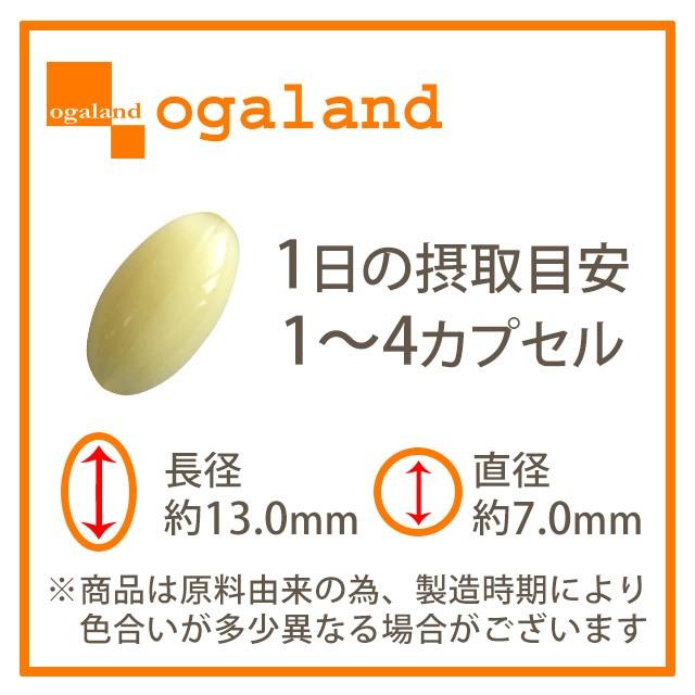 アンセリンカプセル (約1ヶ月分) サプリ プリン体 アンセリン クエン酸 アミノ酸 サプリメント ナイアシン パントテン酸 飲み会 お酒 のおとも 元気 生活習慣 :b-an1:オーガランド Yahoo!店 - 通販 - Yahoo!ショッピング アンセリンカプセル (約1ヶ月分) サプリ プリン体 アンセリン クエン酸 アミノ酸 サプリメント ナイアシン パントテン酸 飲み会 お酒 のおとも 元気 生活習慣 :b-an1:オーガランド Yahoo!店 - 通販 - Yahoo!ショッピング