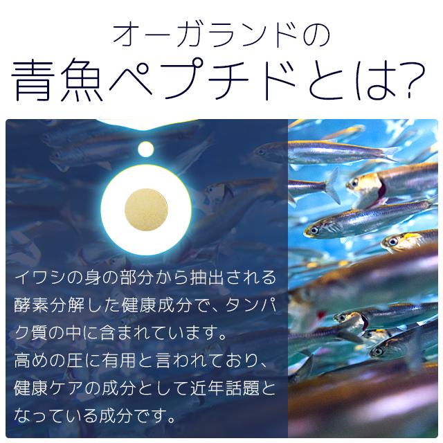 青魚ペプチド （約1ヶ月分） DHA EPA イワシ サプリ オメガ3 青魚 アミノ酸 カルシウム ミネラル 健康 サプリメント 生活習慣 ポイント利用 | ogaland | 04