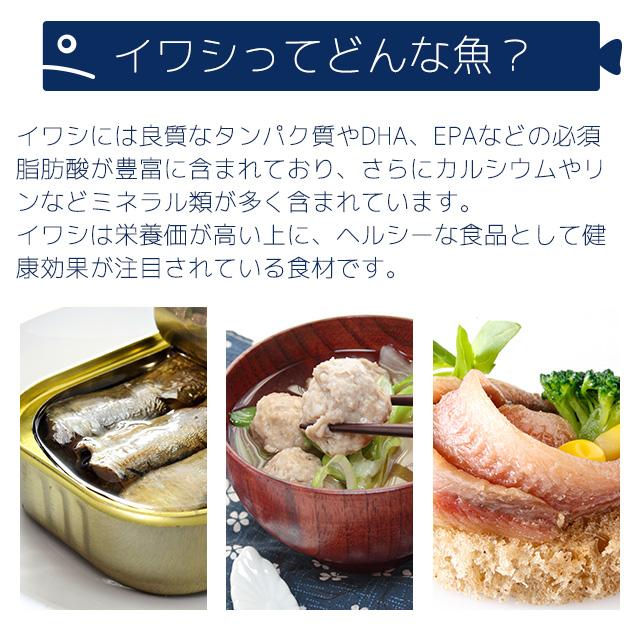 青魚ペプチド サプリ 約3ヶ月分 dha epa サプリメント 必須脂肪酸 イワシ オメガ3 アミノ酸 ミネラル 健康 生活習慣 生姜 ポイント利用 | ogaland | 05