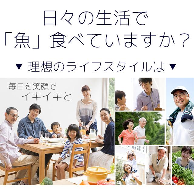 青魚ペプチド サプリ 約3ヶ月分 dha epa サプリメント 必須脂肪酸 イワシ オメガ3 アミノ酸 ミネラル 健康 生活習慣 生姜 ポイント利用 | ogaland | 06