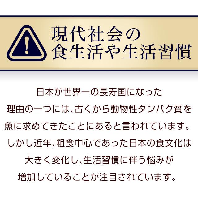 青魚ペプチド サプリ 約3ヶ月分 dha epa サプリメント 必須脂肪酸 イワシ オメガ3 アミノ酸 ミネラル 健康 生活習慣 生姜 ポイント利用 | ogaland | 08