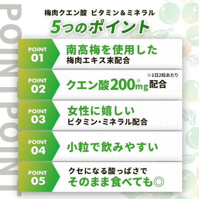 梅肉クエン酸 ビタミン＆ミネラル 約3ヶ月分 梅肉エキス 粒 サプリ サプリメント 元気 ムメフラール  梅 ポイント利用 | ogaland | 12