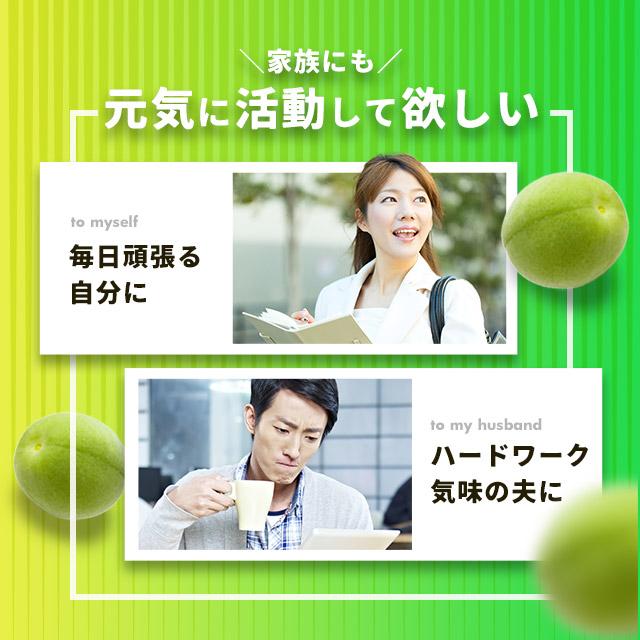 梅肉クエン酸 ビタミン＆ミネラル 約3ヶ月分 梅肉エキス 粒 サプリ サプリメント 元気 ムメフラール  梅 ポイント利用 | ogaland | 13