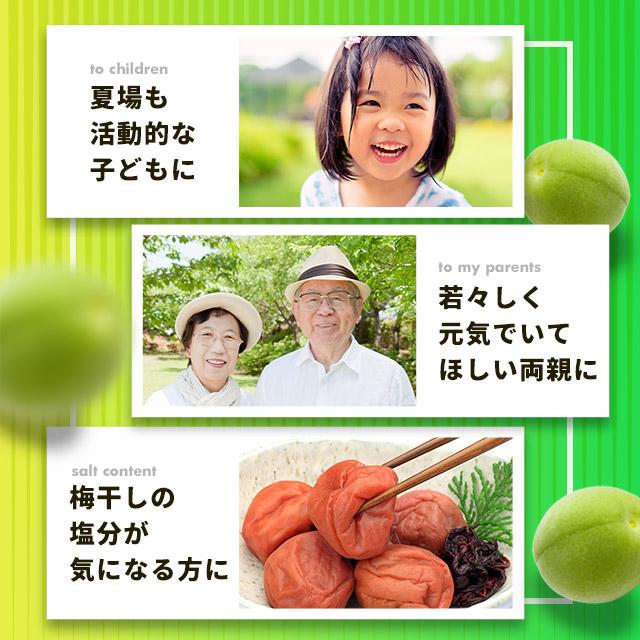 梅肉クエン酸 ビタミン＆ミネラル 約3ヶ月分 梅肉エキス 粒 サプリ サプリメント 元気 ムメフラール  梅 ポイント利用 | ogaland | 14
