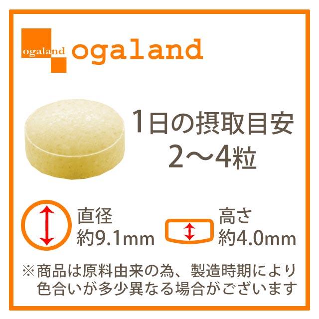 梅肉クエン酸 ビタミン＆ミネラル 約3ヶ月分 梅肉エキス 粒 サプリ サプリメント 元気 ムメフラール  梅 ポイント利用 | ogaland | 16