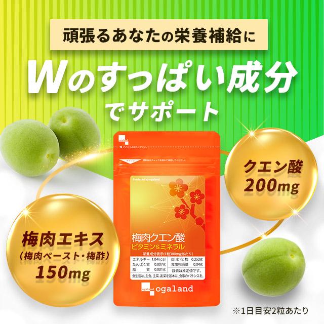梅肉クエン酸 ビタミン＆ミネラル 約3ヶ月分 梅肉エキス 粒 サプリ サプリメント 元気 ムメフラール  梅 ポイント利用 | ogaland | 07