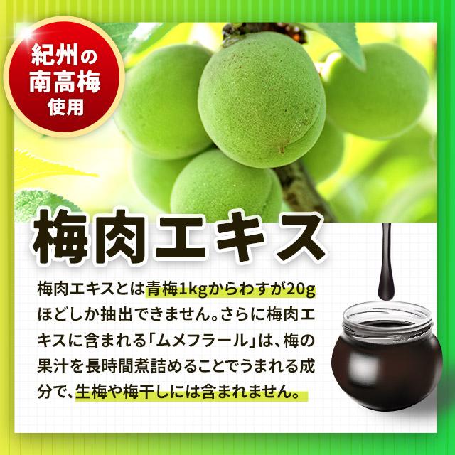 梅肉クエン酸 ビタミン＆ミネラル 約3ヶ月分 梅肉エキス 粒 サプリ サプリメント 元気 ムメフラール  梅 ポイント利用 | ogaland | 08