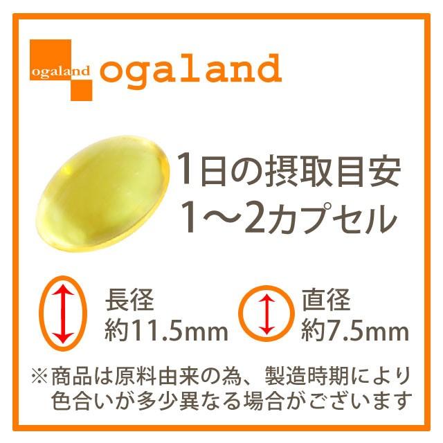 ogaland（オーガランド） バニラサプリ （約1ヶ月分） エチケット
