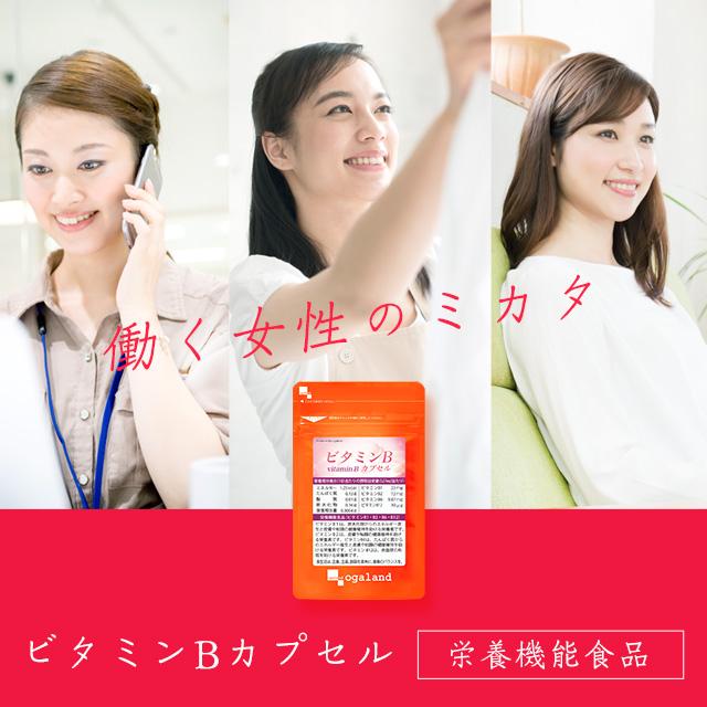 ビタミンB サプリ 約3ヶ月分 葉酸 ビタミンB1 ビタミンB2 ナイアシン サプリメント 皮膚や粘膜の健康維持を助ける 栄養機能食品 ポイント利用 | ogaland | 03