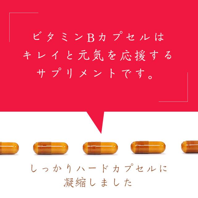 ビタミンB サプリ 約3ヶ月分 葉酸 ビタミンB1 ビタミンB2 ナイアシン サプリメント 皮膚や粘膜の健康維持を助ける 栄養機能食品 ポイント利用 | ogaland | 04