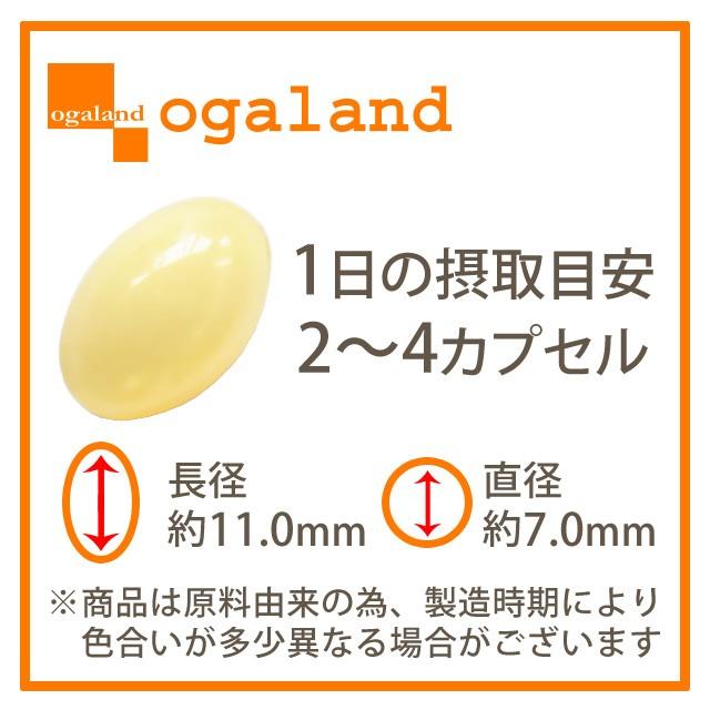 ビフィズス菌 （約1ヶ月分） ダイエット オリゴ糖 サプリ 毎朝のスッキリ サプリメント 発酵 はちみつ 酵母 フラクトオリゴ糖 毎朝スッキリ | ogaland | 15