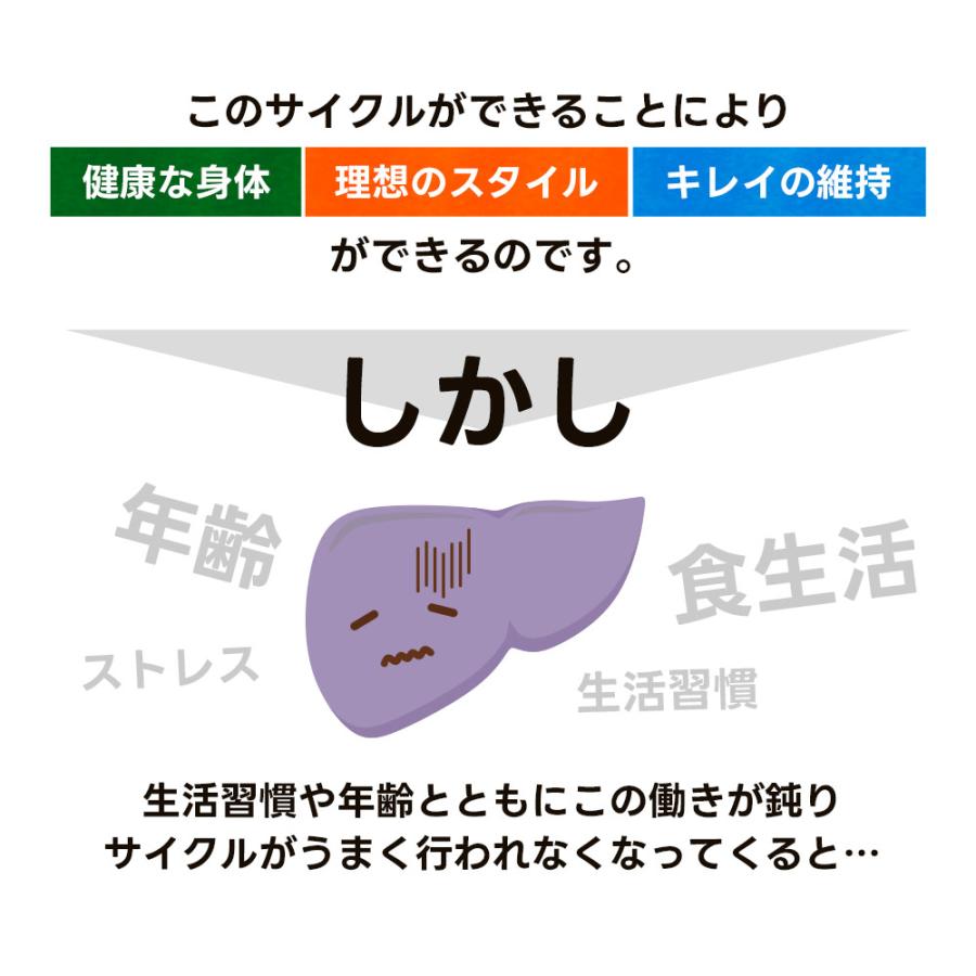 ブロッコリースプラウト （約3ヶ月分）サプリメント サプリ ダイエット スルフォラファン ビタミン ポイント利用 ダイエット | ogaland | 10