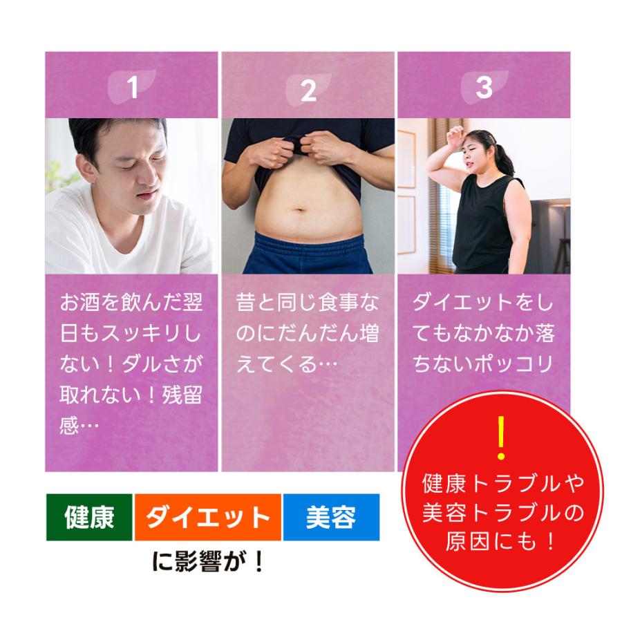 ブロッコリースプラウト （約3ヶ月分）サプリメント サプリ ダイエット スルフォラファン ビタミン ポイント利用 ダイエット | ogaland | 11