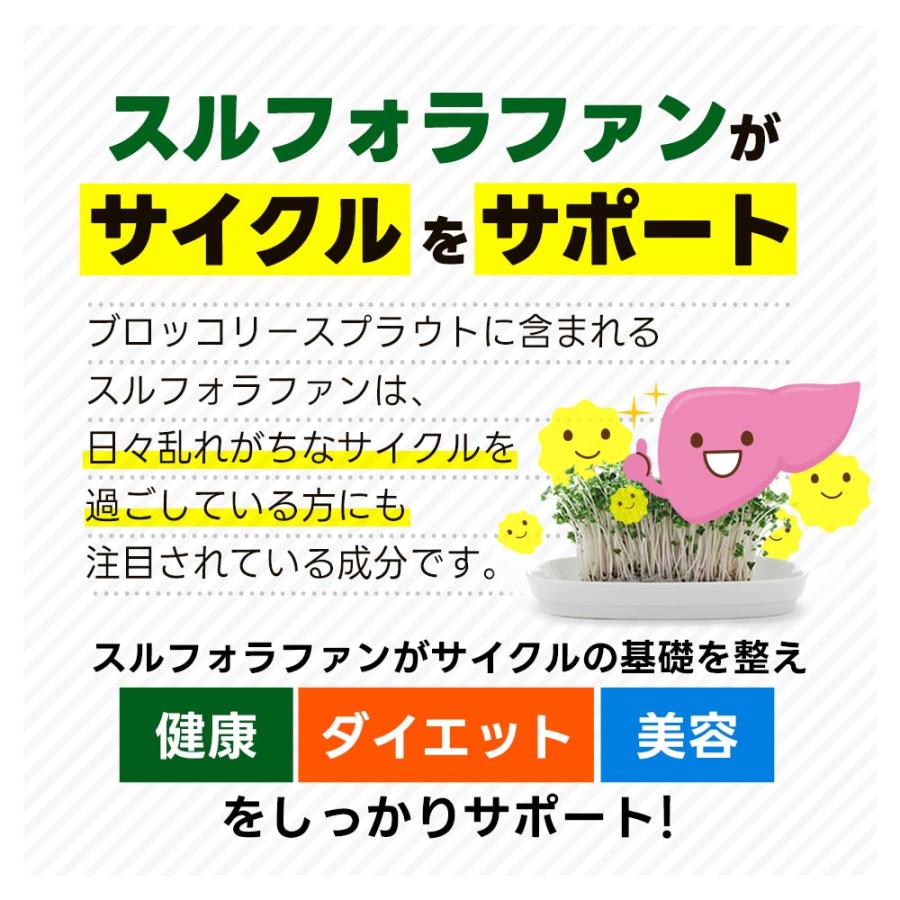 ブロッコリースプラウト （約3ヶ月分）サプリメント サプリ ダイエット スルフォラファン ビタミン ポイント利用 ダイエット | ogaland | 12