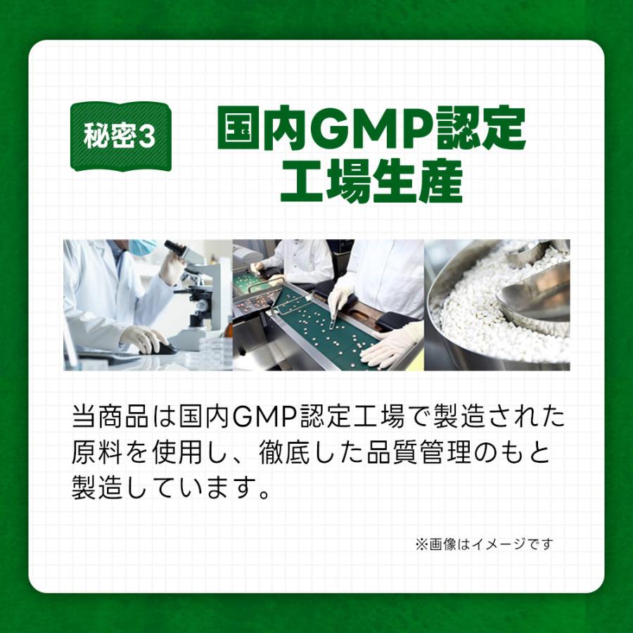 ブロッコリースプラウト （約3ヶ月分）サプリメント サプリ ダイエット スルフォラファン ビタミン ポイント利用 ダイエット | ogaland | 16