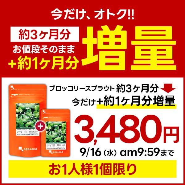 ブロッコリースプラウト＼増量キャンペーン中／（今だけ約4ヶ月分）サプリメント サプリ ダイエット スルフォラファン ビタミン ポイント利用 ダイエット | ogaland | 02