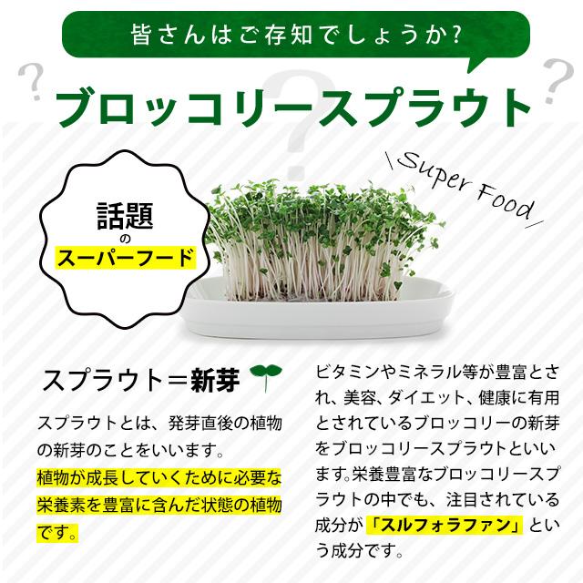 オーガランド Yahoo!店ブロッコリースプラウト （約3ヶ月分） ビタミン サプリ 健康 ブロッコリー 美容 ダイエット ファイトケミカル スルフォラファン サプリメント スーパーフード